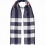 Image result for Burberry Print Scarf