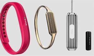 Image result for Fitbit Flex 2 Pendant