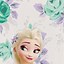 Image result for Disney Princess Elsa Frozen Fever
