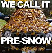 Image result for Funny Fall Season