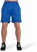 Image result for Blue Mesh Shorts