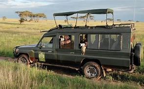 Image result for African Safari Vehicle