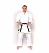 Image result for Japanese Karate