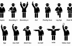 Image result for Cricket Umpire