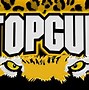 Image result for Top Gun 24K Logo