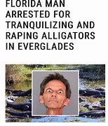 Image result for Florida Man Gator Meme