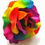 Image result for Rainbow Flower PNG