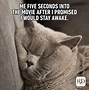 Image result for Funny Cat Memes Sick