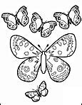 Image result for Lil Skies Butterfly