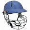 Image result for Orange Cricket Helmet