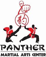 Image result for Panther Martial Arts