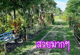 Image result for สวน ผสม