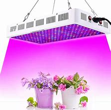 Image result for 1000W LED Grow Light