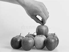 Image result for Apples Are Fruits