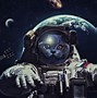 Image result for Weird Space Cat Wallpaper
