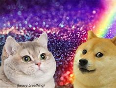Image result for Cat or Dog Meme