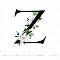 Image result for Letter Z 1080X1080