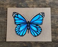 Image result for Most Beautiful Butterfly Art