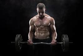Image result for Weight Lifting and Combat Sports