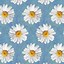 Image result for Daisy Flower Phone Wallpaper