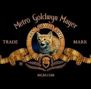 Image result for MTM Kitten Logo