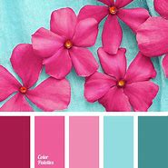 Image result for Hot Pink Palette