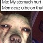 Image result for Chihuahua Meme Door