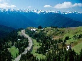 Home to Animals, Olympic National Park 的图像结果