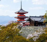 Image result for Kyoto Osaka Sightseeing