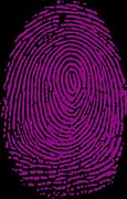 Image result for Fingerprint Pictures