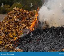 Image result for Burning Pile of Leaves