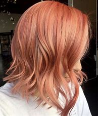 Image result for Coral Hair Color
