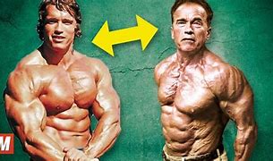 Image result for Arnold Schwarzenegger Strongest Man