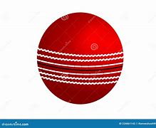 Image result for Cricket Pitch Plan