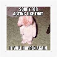 Image result for Sorry It Will Happen Again Cat