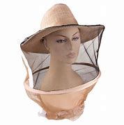 Image result for Japanese Straw Hat with Veil