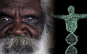 Image result for Aborigen Acrata Portada