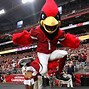 Image result for NFL Football Team Mascots