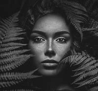 Image result for Black N White Photography