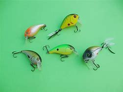 Image result for Fishing Snap Clips