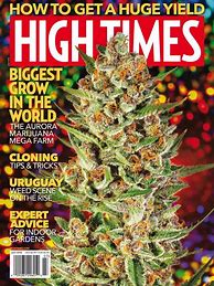 Image result for Cannabis Magazine