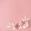 Image result for Pink Colour Paper Background
