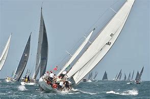 Image result for Yacht Race