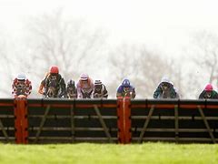 Image result for Ascot Racing Results Today