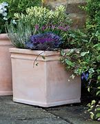 Image result for Terracotta Plant Pots