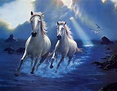Image result for Running Horse HD Images