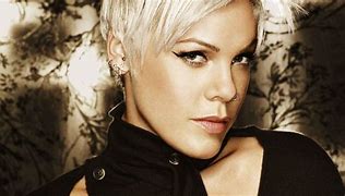 Image result for Pink Singer Photo Gallery