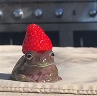 Image result for Frog with Strawberry Hat