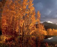 Image result for Autumn Wallpaper 1920X1080