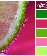 Image result for Bright Pink Color